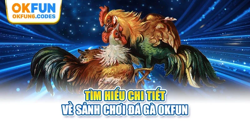 Tìm hiểu chi tiết về sảnh chơi đá gà OKFUN