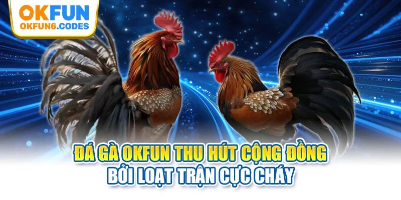 Đá gà OKFUN